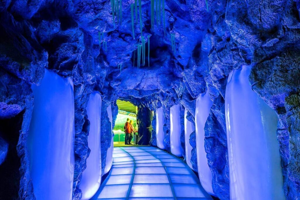 Verbindung zur Natur: Warum der Loro Parque mehr ist als nur ein Zoo