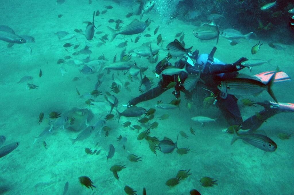 Der Ablauf der Tour: Von der Ankunft bis zum Auftauchen