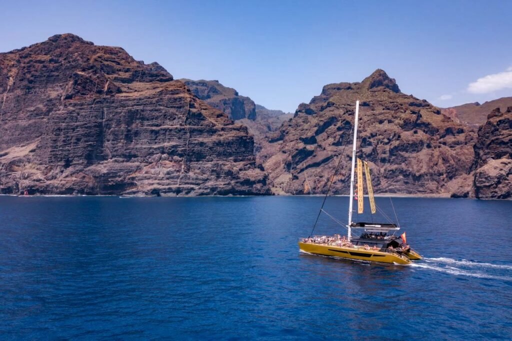 Delfin- und Walbeobachtung auf Teneriffa – Preise und Infos