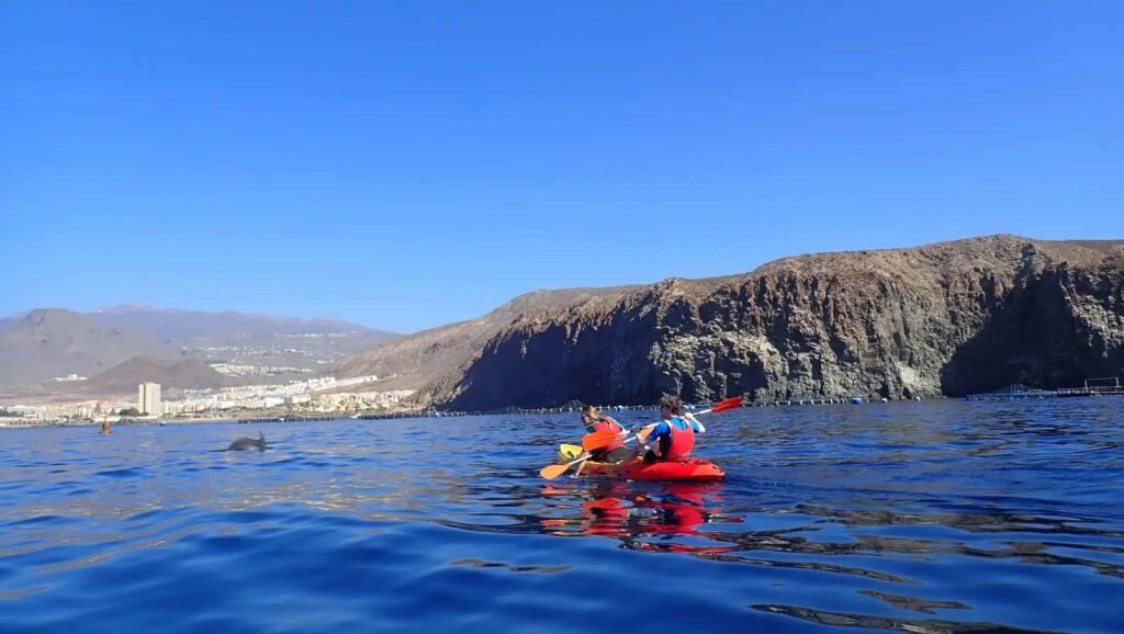 Kajakfahren in Teneriffa: Schildkröten, Delfinen und Schnorcheln