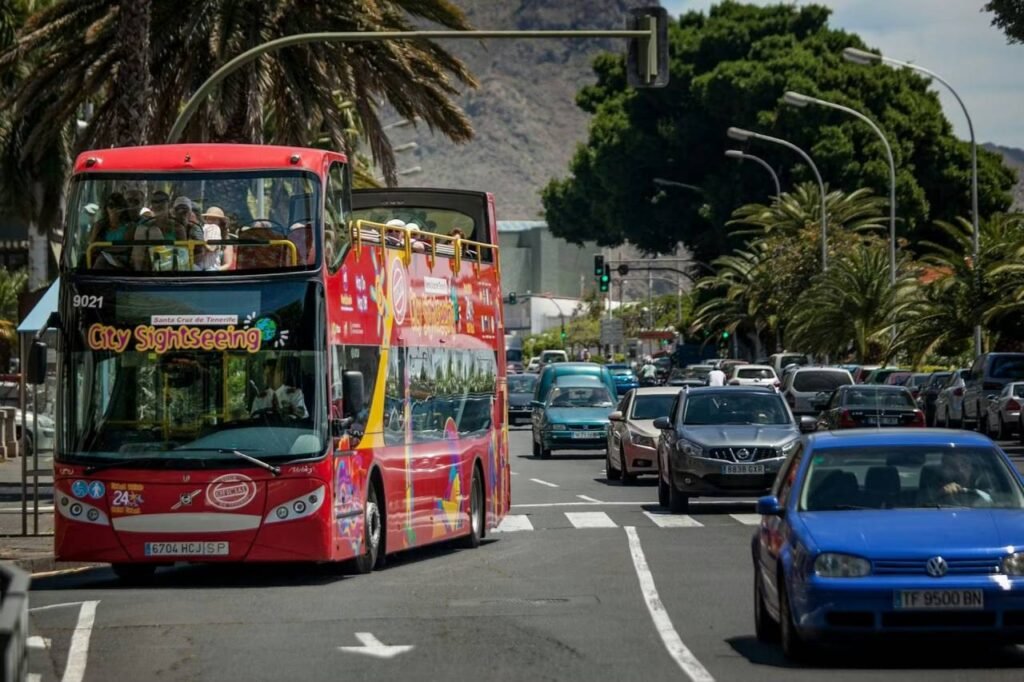 🚌🌴 Hop-On Hop-Off Bus: Santa Cruz de Tenerife